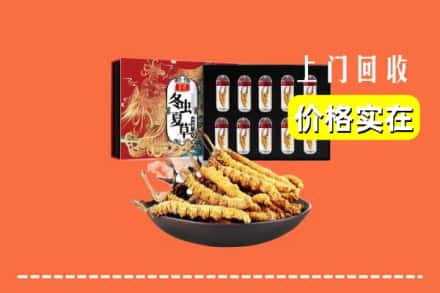 饶阳县回收冬虫夏草