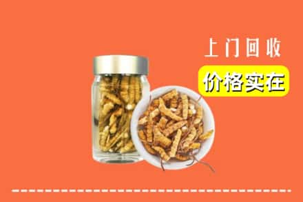 饶阳县回收散虫草