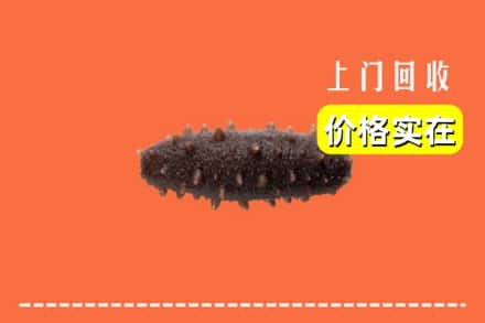 饶阳县回收海参
