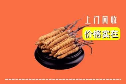 饶阳县回收冬虫夏草